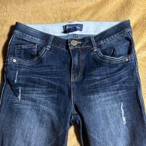 Democracy cropped flare size 2